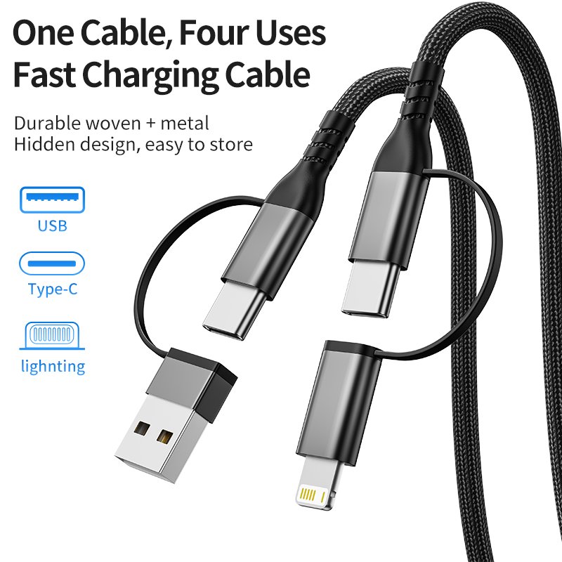100w 2 in 2 usb cable